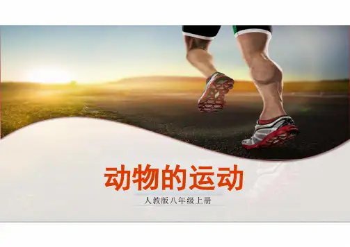 人教版生物八年级上册5.2.1《动物的运动》 课件