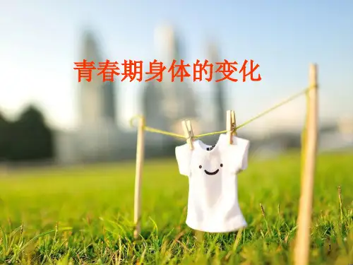 青春期身体的变化PPT课件