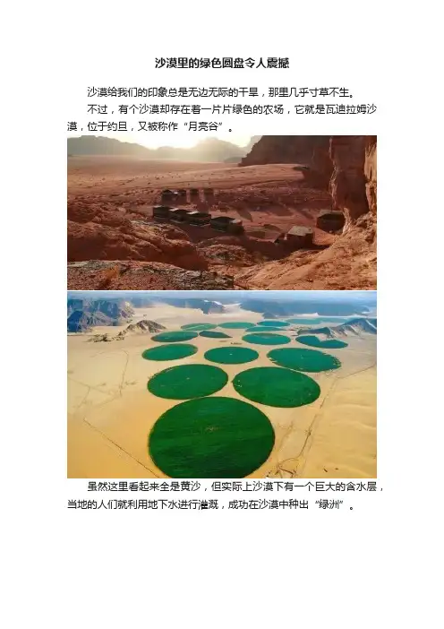 沙漠里的绿色圆盘令人震撼