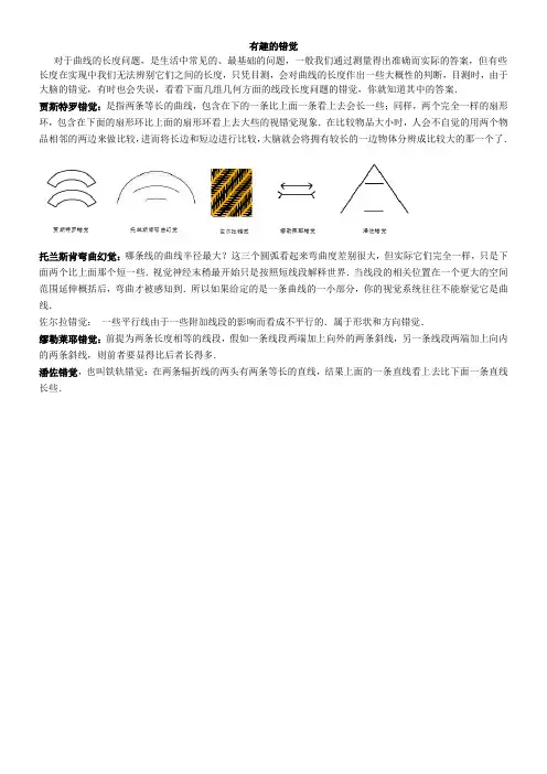 有趣的错觉-公开课教学设计