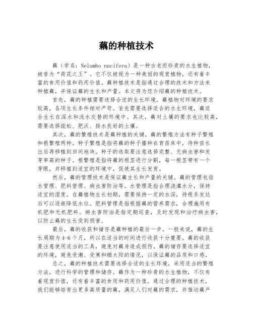 藕的种植技术