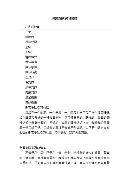 刑警支队实习总结