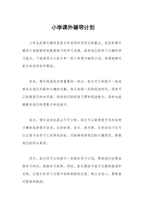 小学课外辅导计划