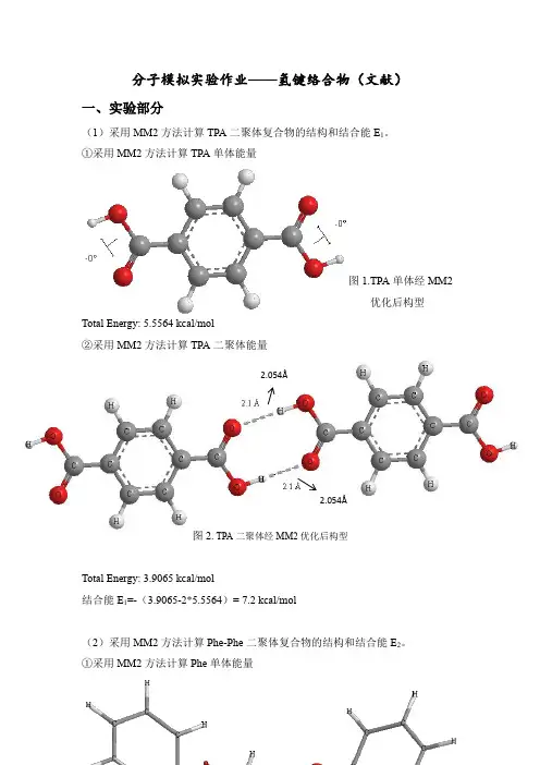 分子模拟实验实验报告氢键络合物