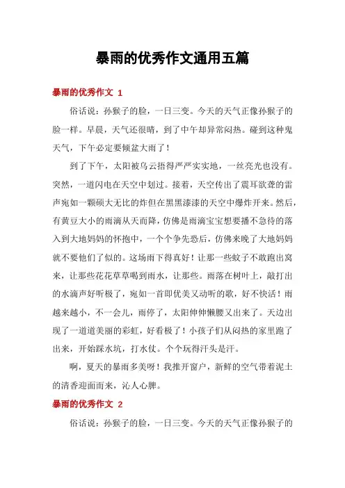 暴雨的优秀作文通用五篇