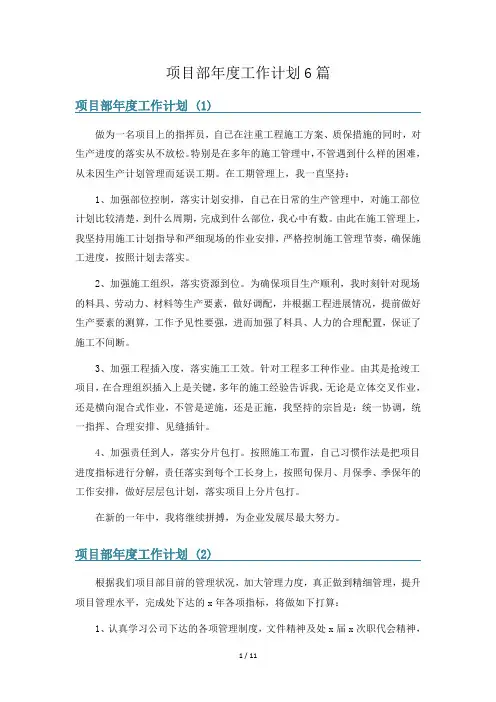 项目部年度工作计划6篇