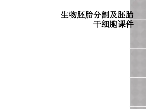 生物胚胎分割及胚胎干细胞课件