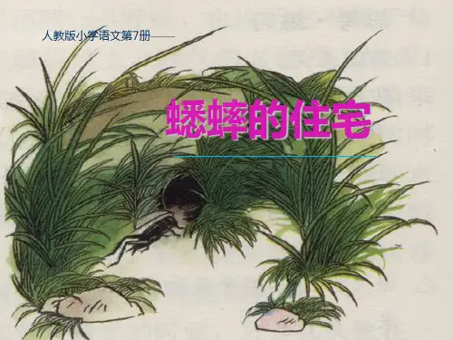 (精选)四年级语文上册第2单元7.蟋蟀的住宅ppt课件新人教版