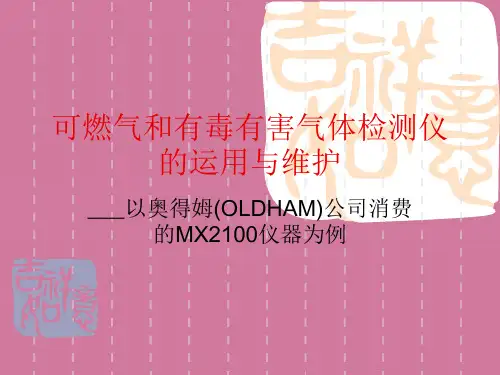 可燃气及有毒有害气体检测仪的使用ppt课件