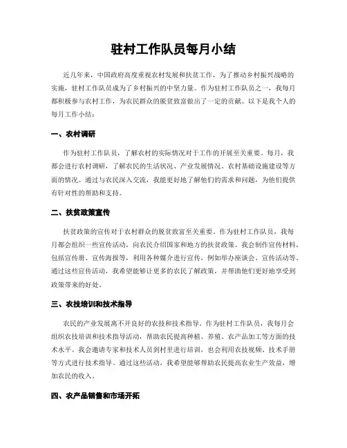 驻村工作队员每月小结