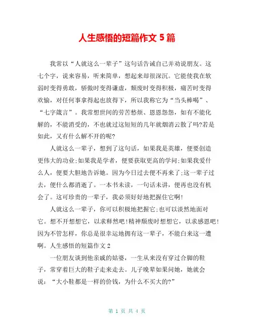 人生感悟的短篇作文5篇