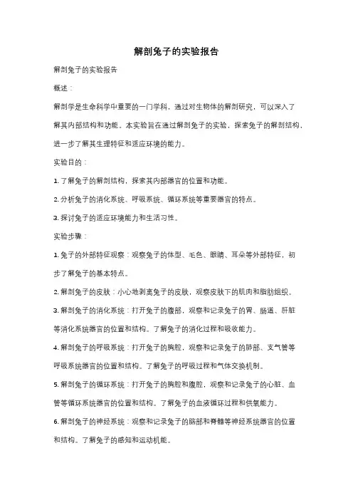 解剖兔子的实验报告