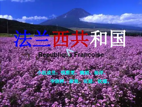法国巴黎介绍(完美版)适合演讲