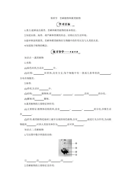 冀教版七年级上册生物1.3.4苔藓和蕨类植物(导学案2 ).doc