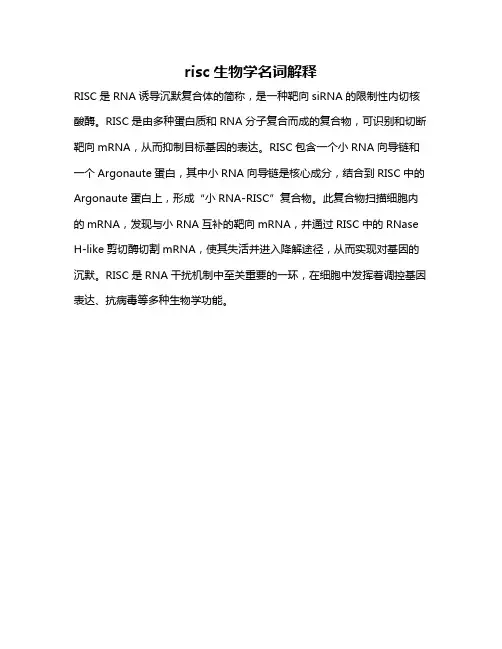 risc生物学名词解释