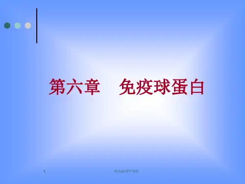 免疫球蛋白PPT课件
