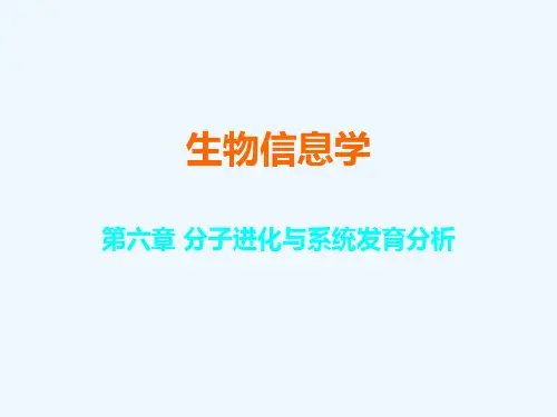 分子进化与系统发育分析