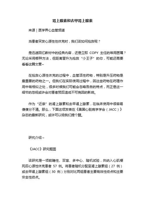 肾上腺素和去甲肾上腺素