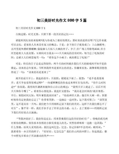 初三美好时光作文800字5篇