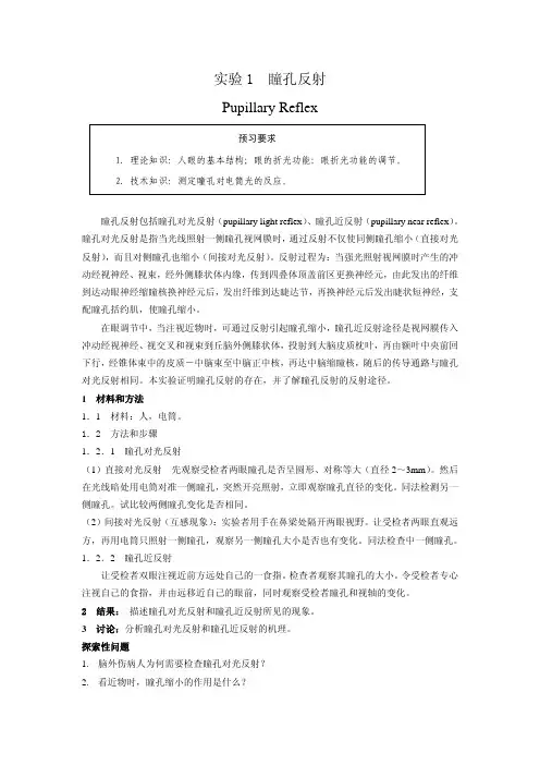 实验1瞳孔反射PupillaryReflex