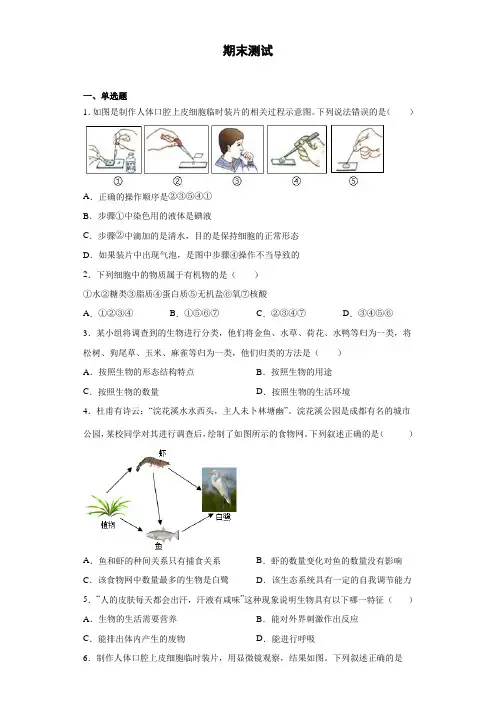 生物鲁科版(五四制)六年级上册 期末测试1