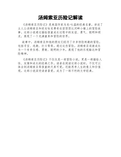 汤姆索亚历险记解读