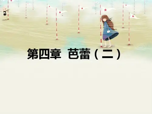 外国舞蹈史第四章