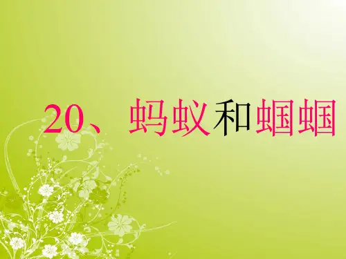 《蚂蚁和蝈蝈》PPT课件