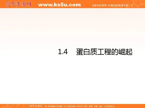 高中生物选修三1.4蛋白质工程的崛起课件 共17张