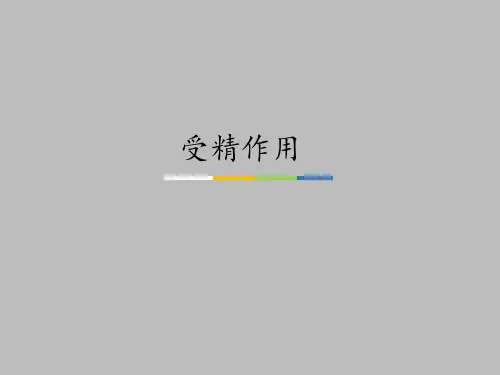中图版高中生物必修2：遗传与进化受精作用