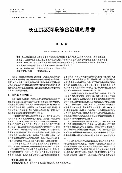 长江武汉河段综合治理的思考