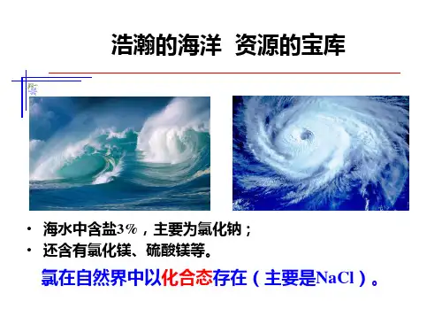 氯及其化合物  课件   2022-2023学年高一上学期化学人教版(2019)必修第一册