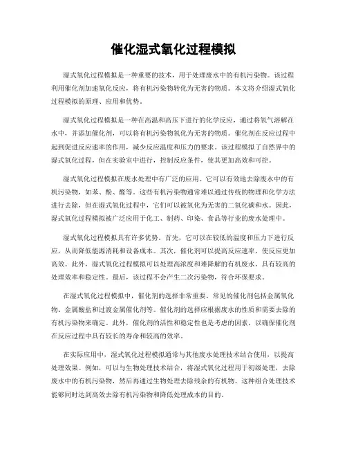 催化湿式氧化过程模拟