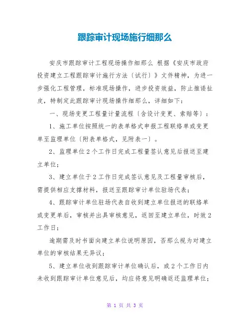 跟踪审计现场实施细则