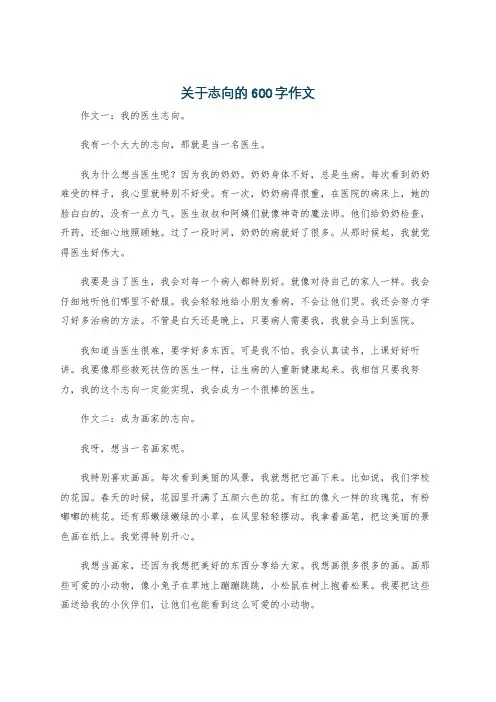 关于志向的600字作文