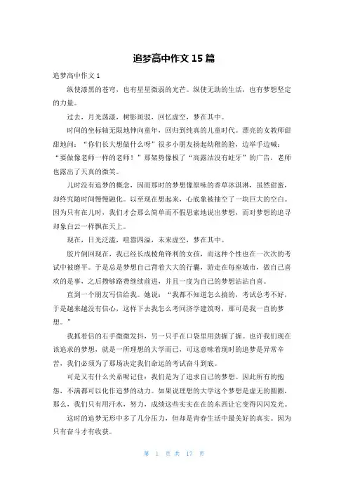 追梦高中作文15篇