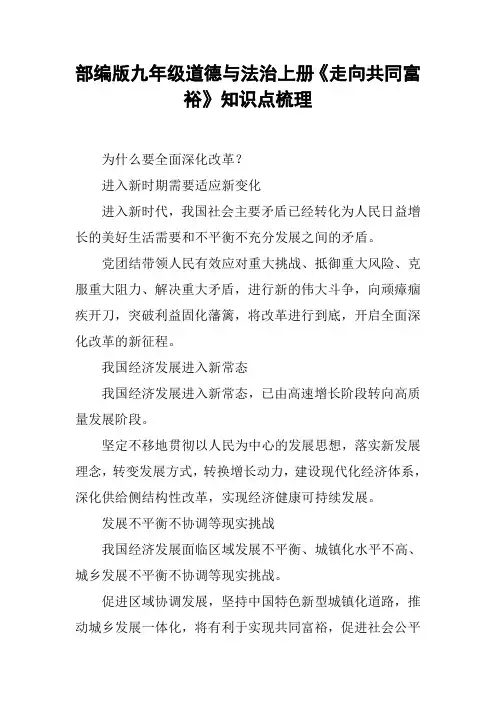部编版九年级道德与法治上册《走向共同富裕》知识点梳理