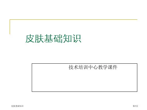 皮肤基础知识