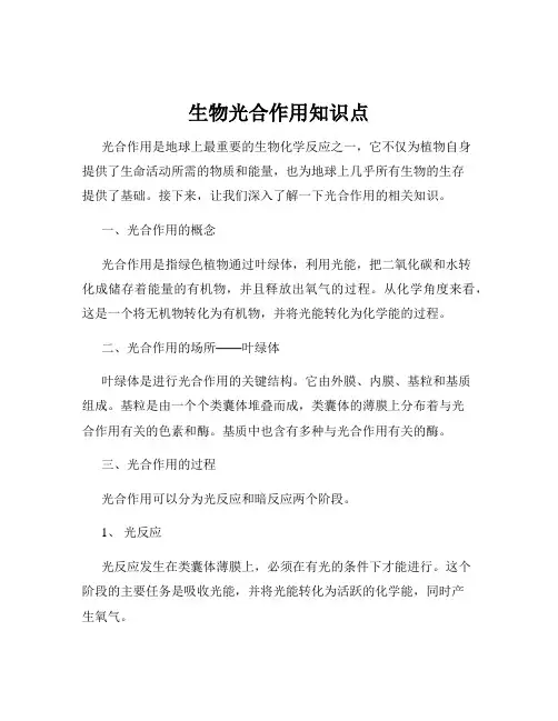 生物光合作用知识点