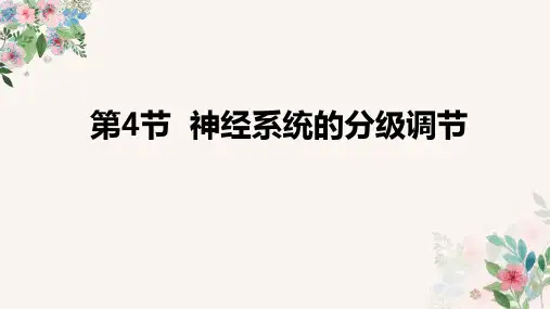 神经系统的分级调节ppt课件