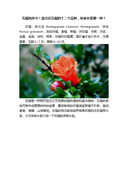 石榴知多少！盘点花石榴的十二个品种，你家乡是哪一种？