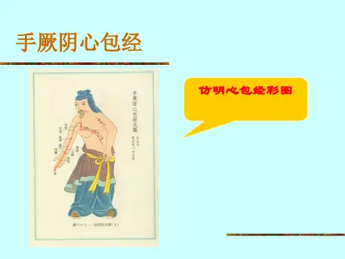 手厥阴心包经-ppt课件