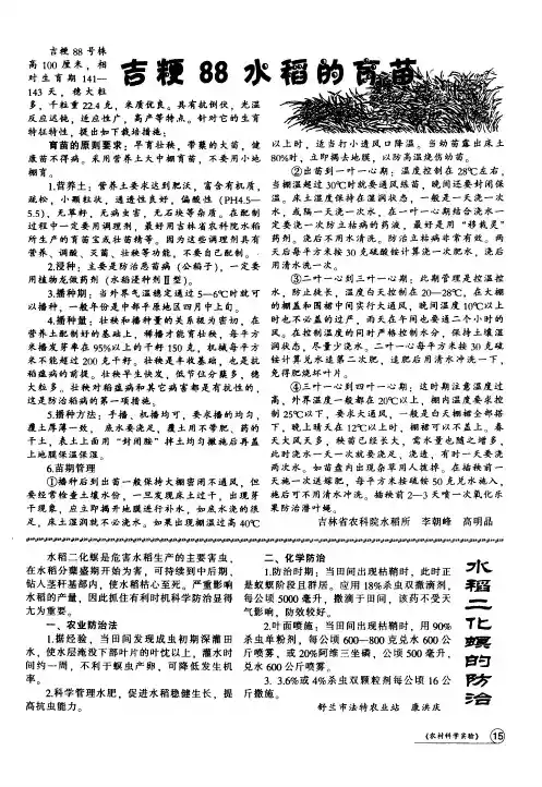 水稻二化螟的防治