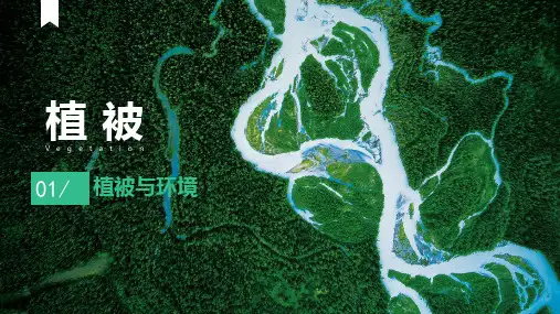 高中地理必修一5.1.1植被