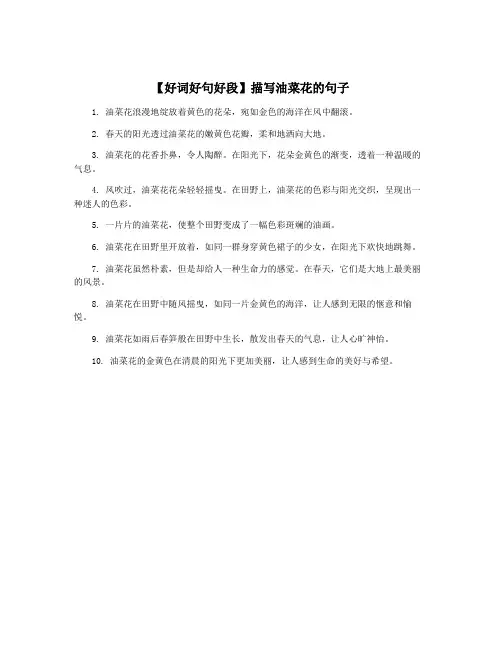 【好词好句好段】描写油菜花的句子