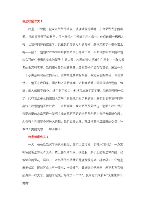 我变成一只小松鼠作文三年级