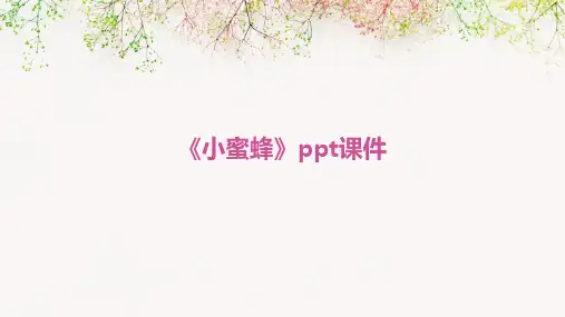 《小蜜蜂》课件