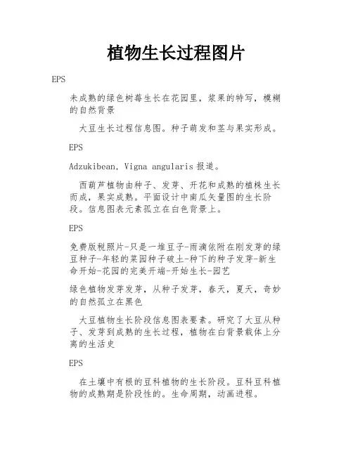 植物生长过程图片