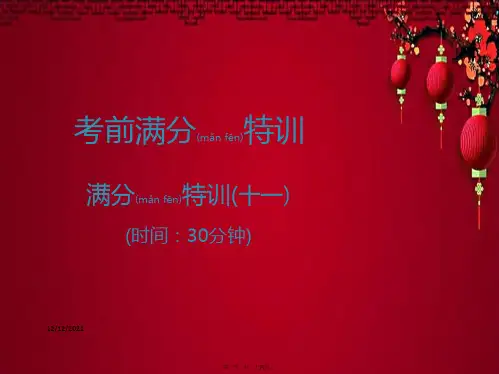 中考语文高分突破 满分特训11语文课件