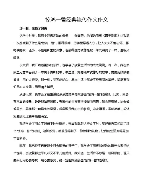 惊鸿一瞥经典流传作文作文